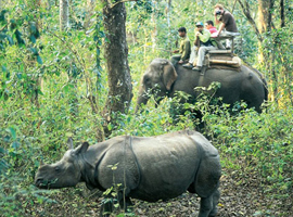 Chitwan Jungle Safari