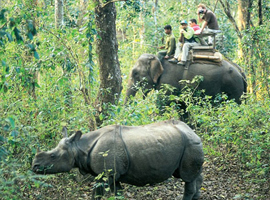 Chitwan Jungle Safari