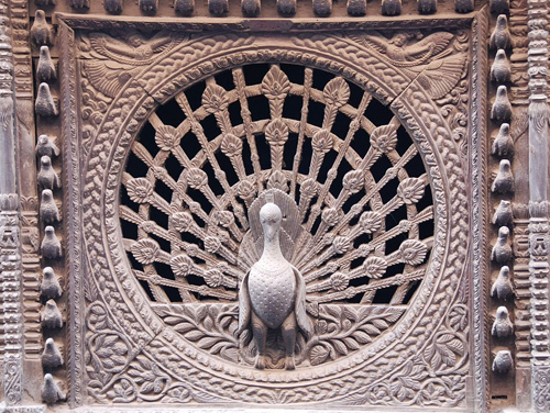 Peacock Window